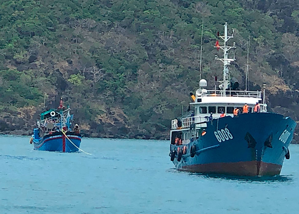 CSB 6008